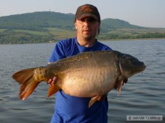 Kliknutím fotografii zvětšíte lysec D5 80cm a 10,5kg