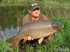 Kliknutím fotografii zvětšíte 80cm 10 kg