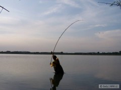 Kliknutím fotografii zvětšíte