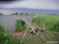 Kliknutím fotografii zvětšíte Před bouří