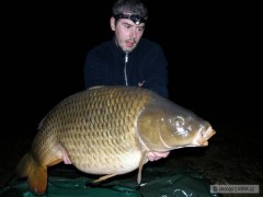 Kliknutím fotografii zvětšíte carp
