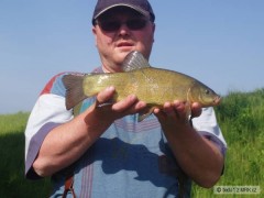 Zlat� rybka