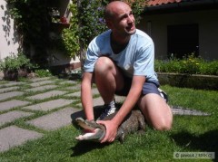 KROKOU�