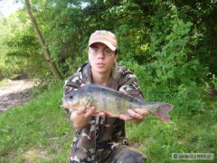 M�j prvn� okoun-36cm