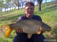 Kapr 67cm