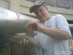 Labe