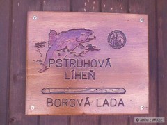 Kliknutím fotografii zvětšíte Na praxi v zimě 08 na Šumavě