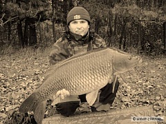 Kliknutím fotografii zvětšíte K-86cm 13kg