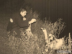 Kliknutím fotografii zvětšíte LABUŤÁK