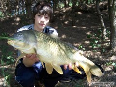 Kliknutím fotografii zvětšíte 66cm