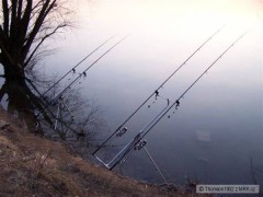 Kliknutím fotografii zvětšíte Nas Vercajk