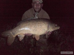 78cm 8kg