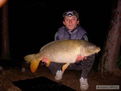 Kliknutím fotografii zvětšíte kapr 83 cm 10 kilo