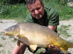 Kliknutím fotografii zvětšíte Kapr lysec 73cm9,5kg