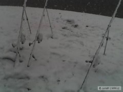 Kliknutím fotografii zvětšíte Ranní překvapení