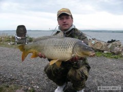 Kliknutím fotografii zvětšíte Pálava 5/09 73 cm