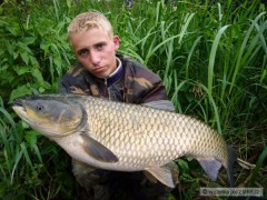 Kliknutím fotografii zvětšíte amuřík