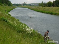 Kliknutím fotografii zvětšíte