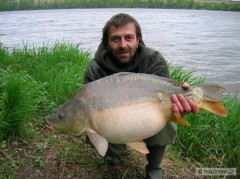 Kliknutím fotografii zvětšíte kapr 65cm, 6,9kg