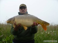 Kliknutím fotografii zvětšíte 74cm 7kg