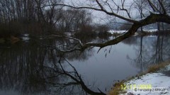 Kliknutím fotografii zvětšíte Zimní nálada na Berounce