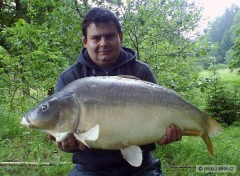 Kliknutím fotografii zvětšíte Adamovský rybník červen 2009