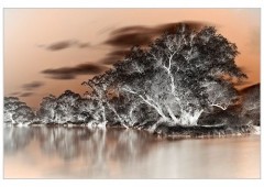 Kliknutím fotografii zvětšíte Moje obľúbené miesto na morave