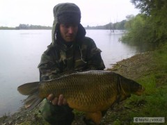 Kliknutím fotografii zvětšíte kapor 70cm 8kg