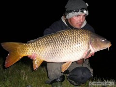 Kliknutím fotografii zvětšíte D5-85cm 11kg
