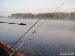 Kliknutím fotografii zvětšíte Na vodě