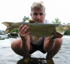 Bole� 72cm, 4kg, 16.6.2009, rieka Nitra NZ