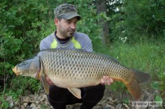 ��rava 10kg 84cm