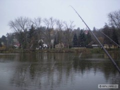 Zimn� feederova�ka