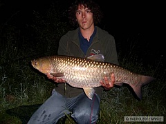 Kliknutím fotografii zvětšíte Amur 85cm