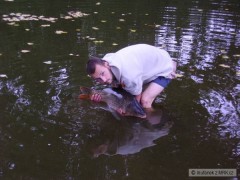 Kliknutím fotografii zvětšíte