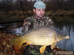 Kliknutím fotografii zvětšíte ,Svazovka' Listopad 2008