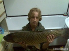 amur