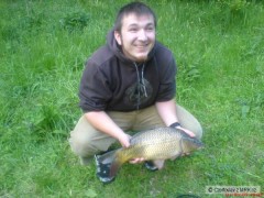 Kapr 51cm 3.5kg
