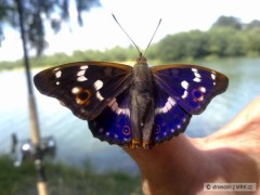 Kliknutím fotografii zvětšíte