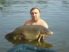 Kliknutím fotografii zvětšíte Kapr 85cm 12.5kg