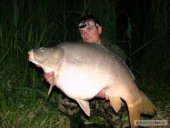 17,5 kg
