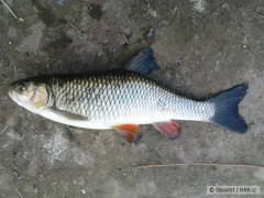 Tlou�t�k