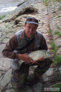 Kliknutím fotografii zvětšíte Bolen 67 cm Svratka