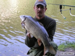 Kliknutím fotografii zvětšíte kaprik 80cm 8kg