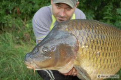 ��rava 23,2kg 97cm