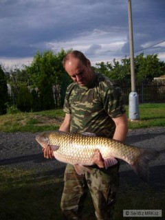 amur 107cm po druhy