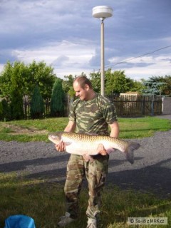 amur 107cm po 3