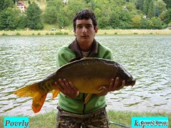 Kliknutím fotografii zvětšíte kapr 83cm