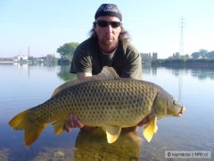 Kliknutím fotografii zvětšíte Kapr šupináč83cm