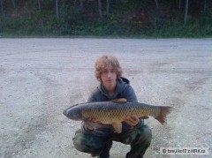 amur 88cm